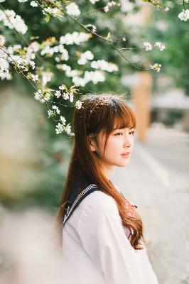 中日韩好看的电影推荐